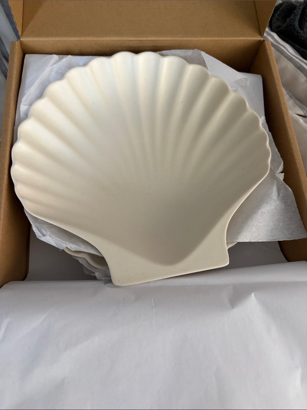 jilly box- Meri Meri Taupe Shell Bamboo Fibre Plates-